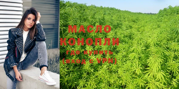 гидра Медногорск