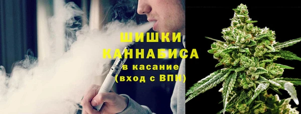 трава Мегион