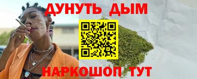 индика Бийск