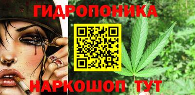 крисы Гусь-Хрустальный