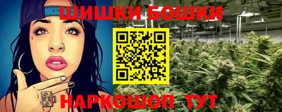 индика Бийск