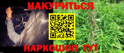 гашик Гусев