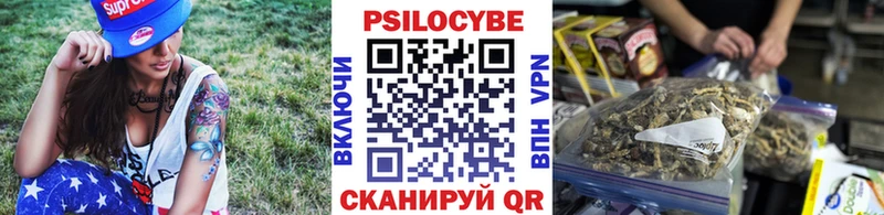 Псилоцибиновые грибы Psilocybine cubensis  ОМГ ОМГ ONION  Коломна 