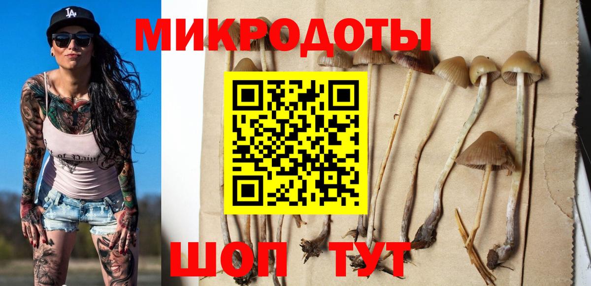 Коломна  Псилоцибиновые грибы Psilocybine cubensis  Вход с VPN  Псилоцибиновые грибы Magic Shrooms 